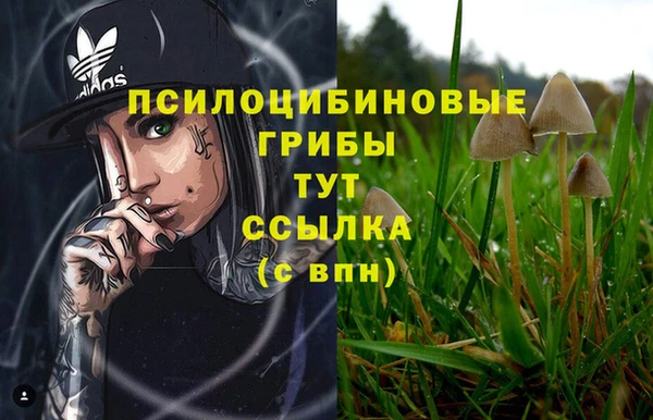 экстази Абаза