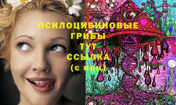 метадон Абинск