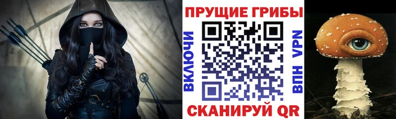 ссылка на мегу ONION  Донской  Галлюциногенные грибы GOLDEN TEACHER 